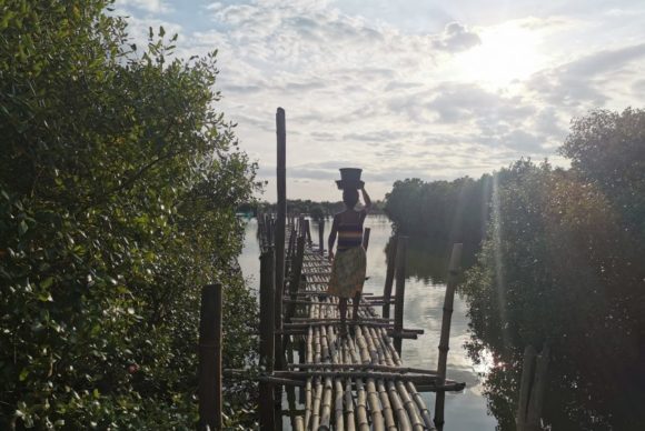 Community-based Mangrove Restoration - Oceanus Conservation