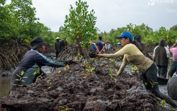 Happy International Mangrove Day!