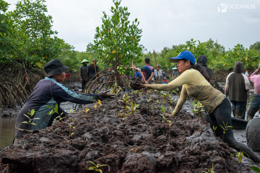 Happy International Mangrove Day!