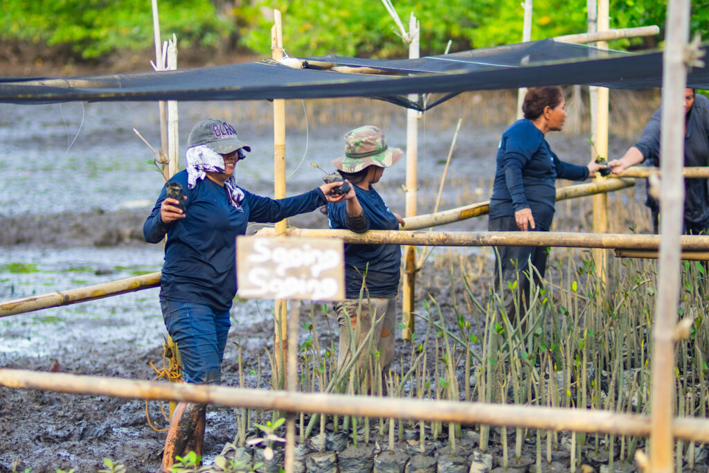 mangrove nursery with Oceanus and local community